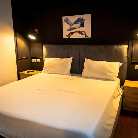 Otel Moulin Bleu Tiran