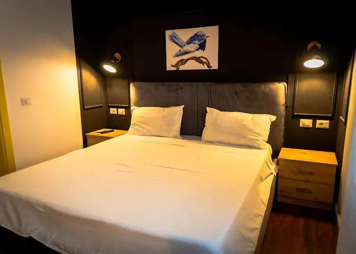 Hotel Moulin Bleu Tirana